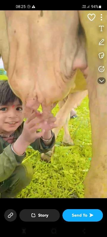 15000 રૂપિયા કિંમત