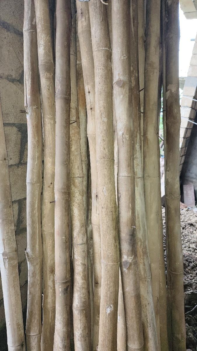 વહદા વેશવના છે