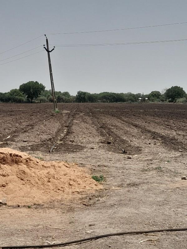 23.5 vigha vadi kuvo 1 ful pani