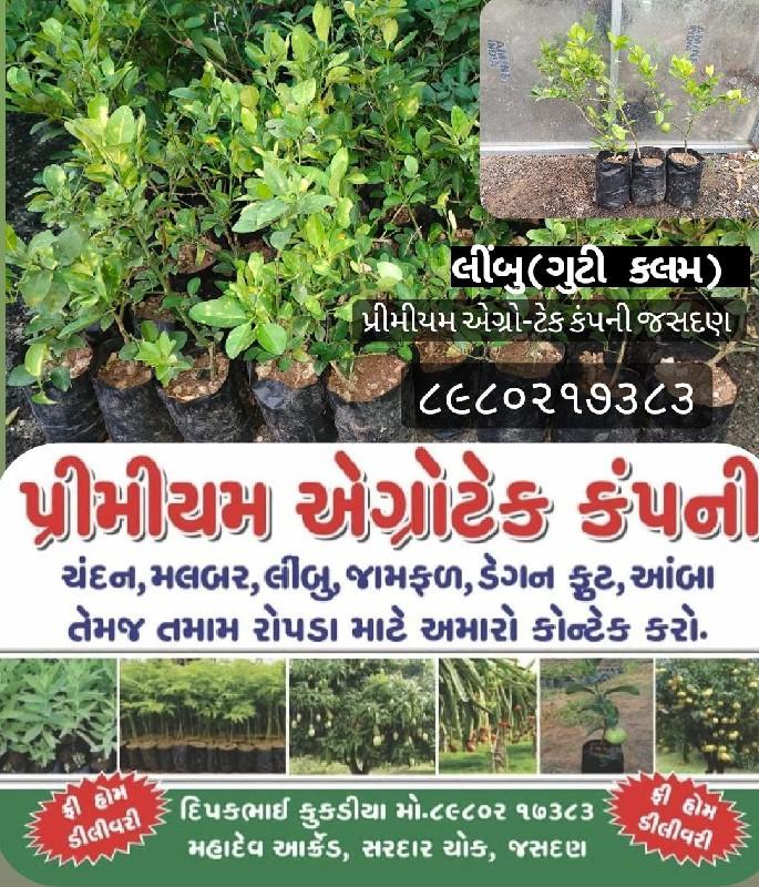 थंबनेल 3