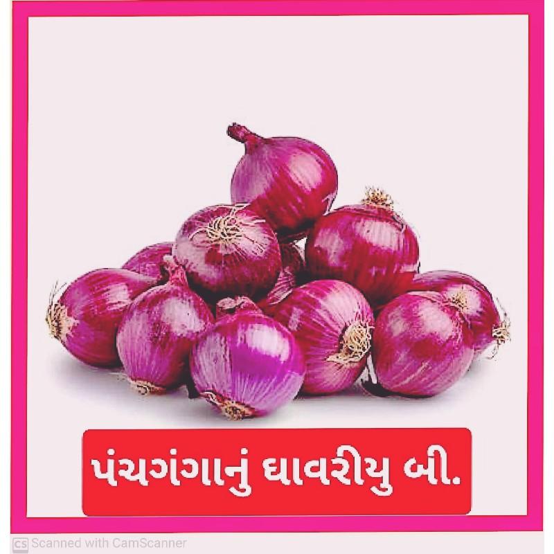 કાળુ બી.