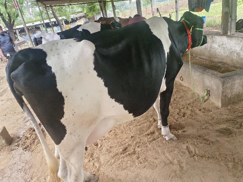 थंबनेल 2