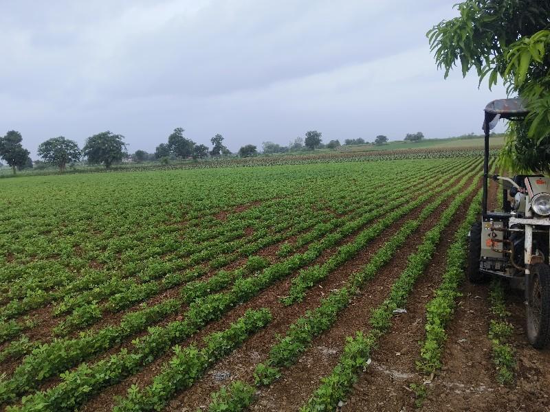 જમીન માટે ભાગ્યાની જરૂર