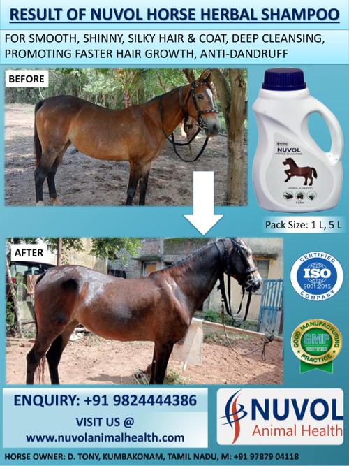 NUVOL HORSE SHAMPOO - નુવોલ હોસઁ શેમ્પૂ