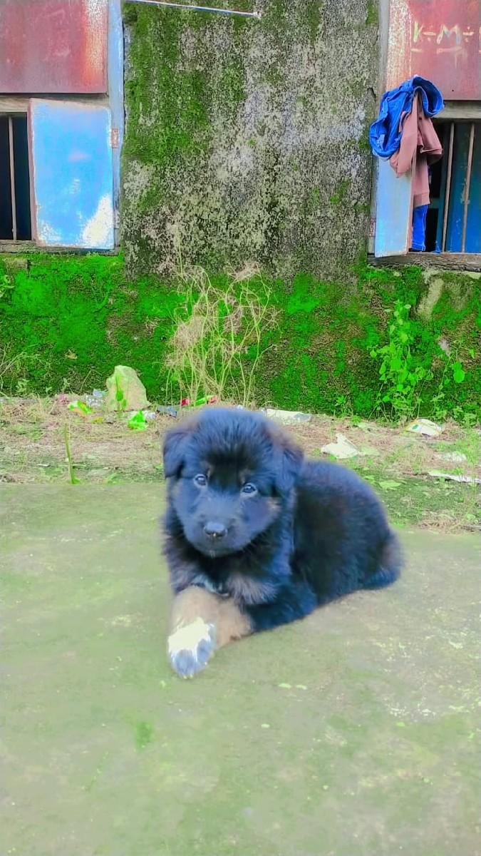 થંબનેલ 3