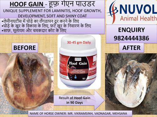 Hoof Gain Powder - હૂફ ગેઈન પાવડર