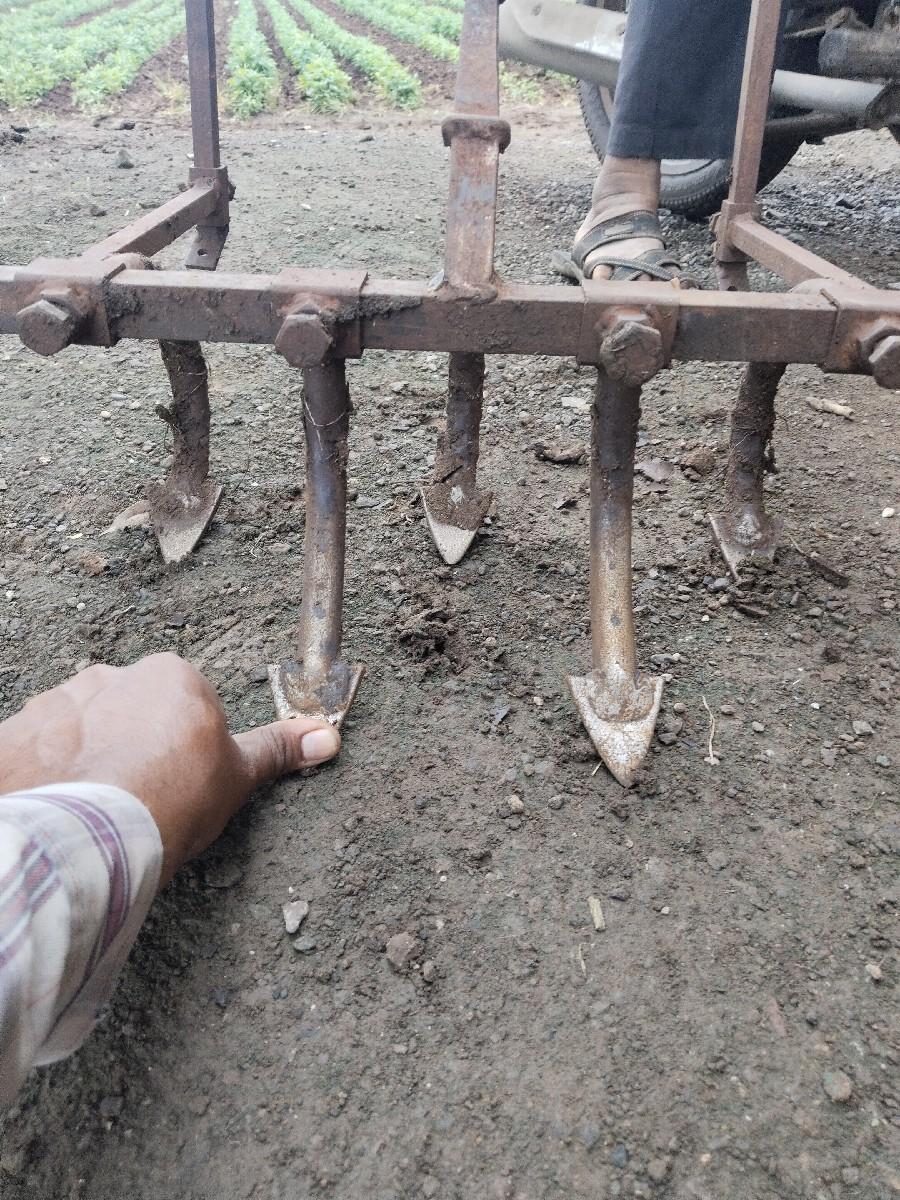 મિંડળા વેચવાના છે