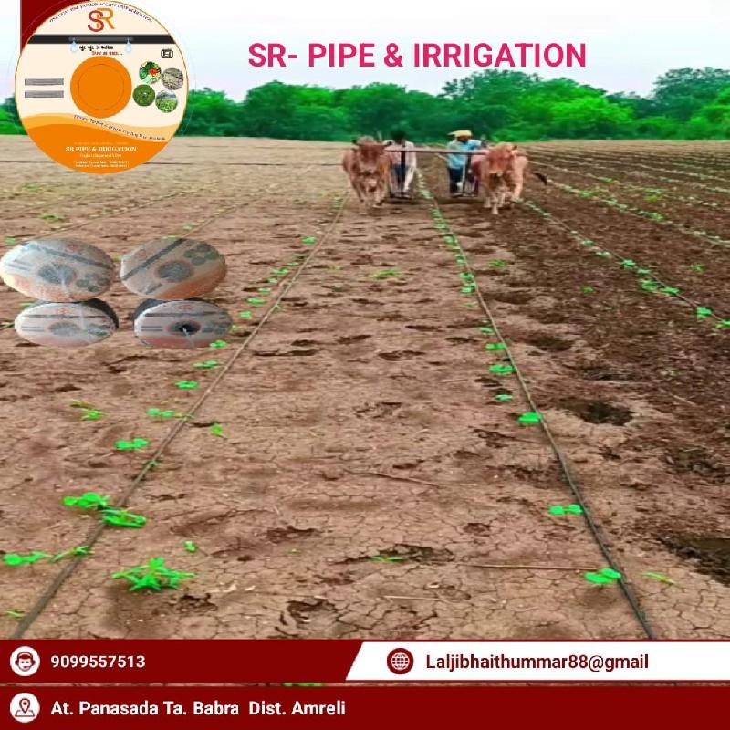 થંબનેલ 4