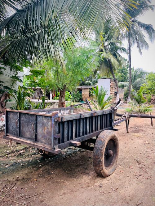 थंबनेल 2