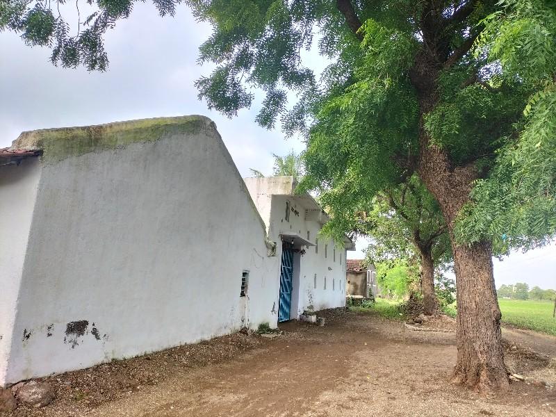 થંબનેલ 2