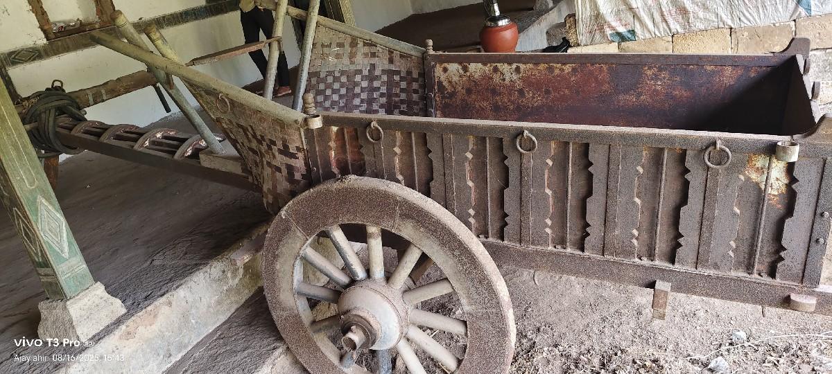 થંબનેલ 3