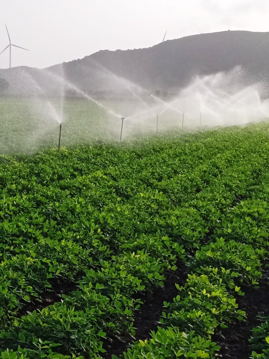 થંબનેલ 2