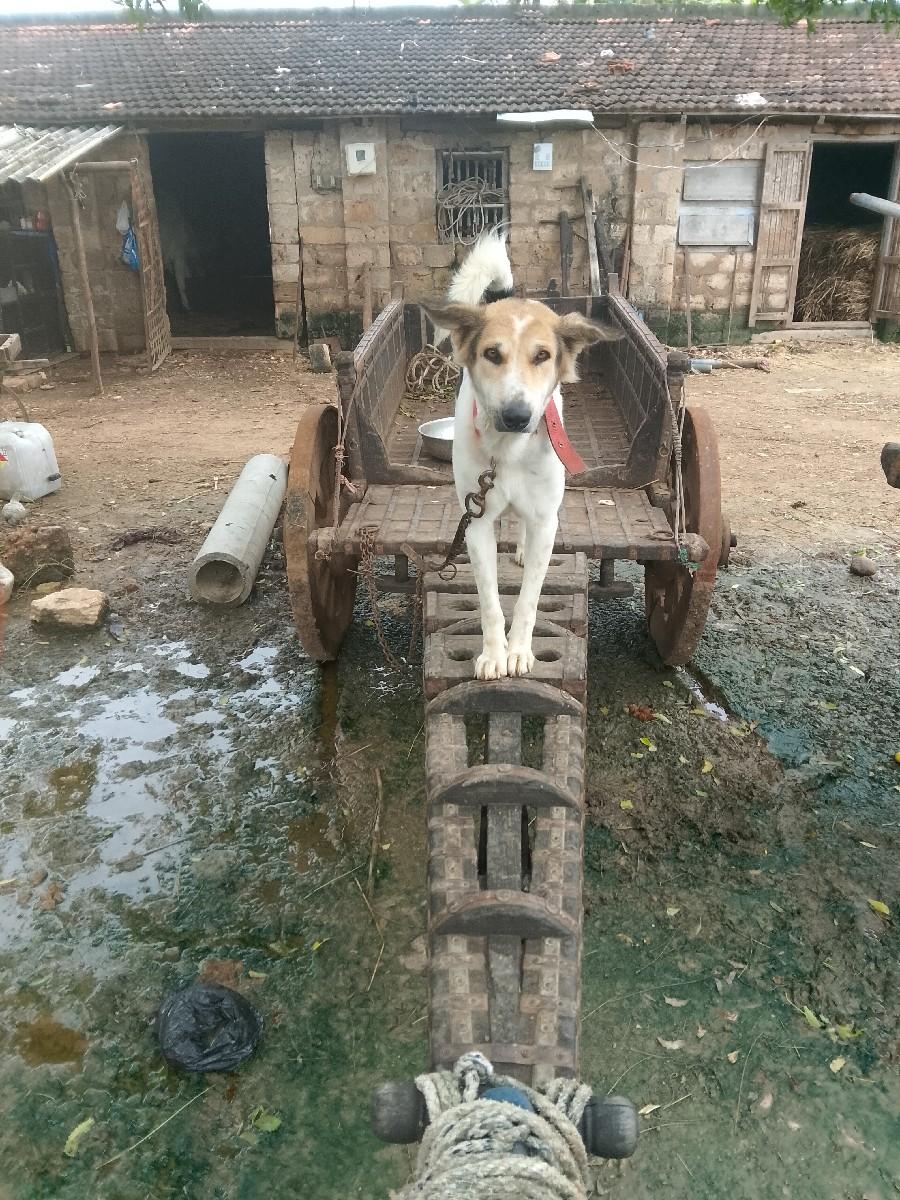 थंबनेल 2