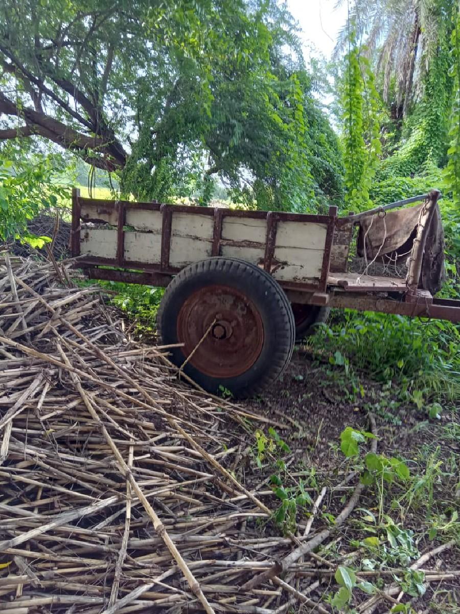 rekdo (બળદ ગાડું)