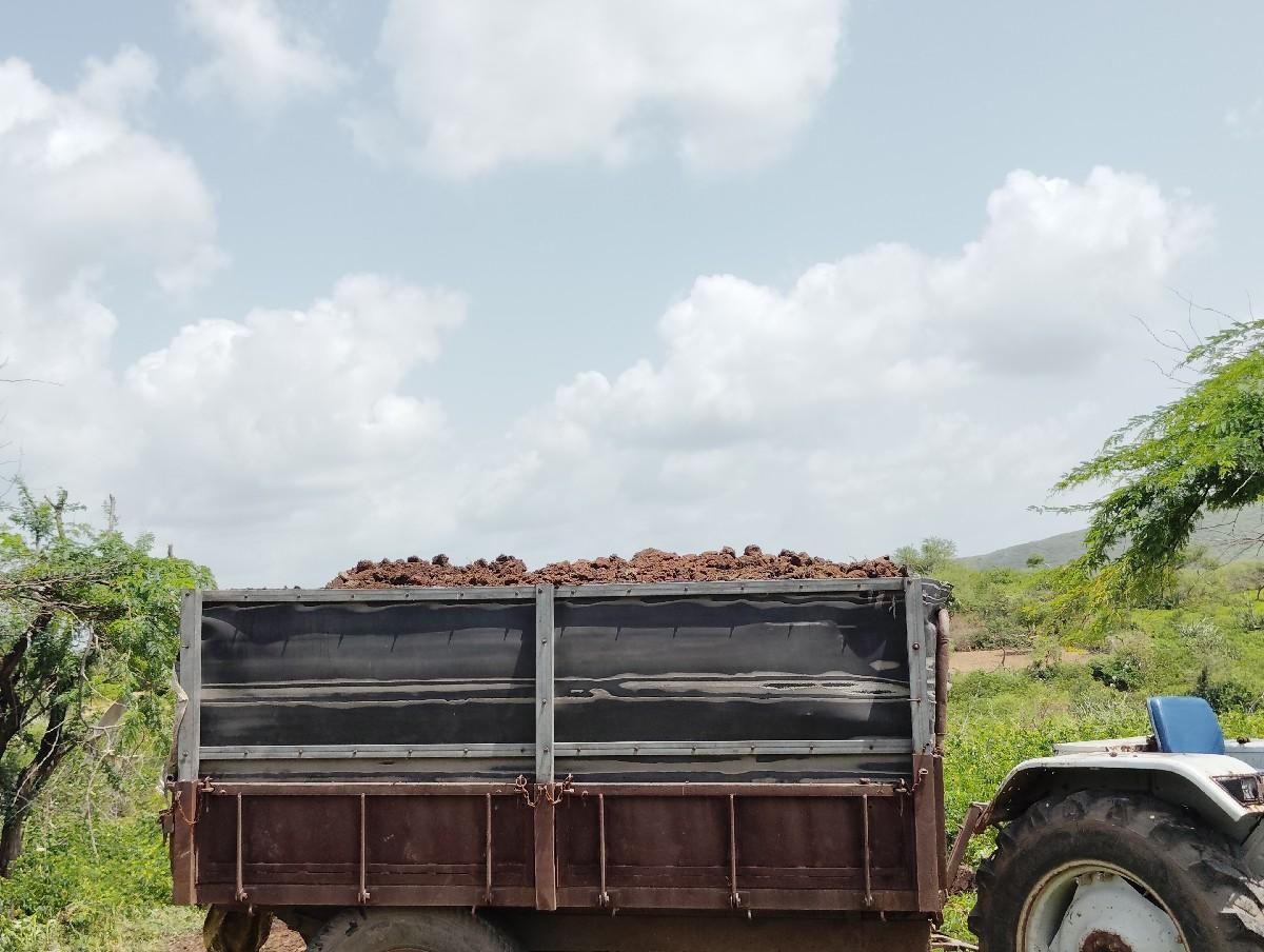 સાણીયૂ‌ ખાતર