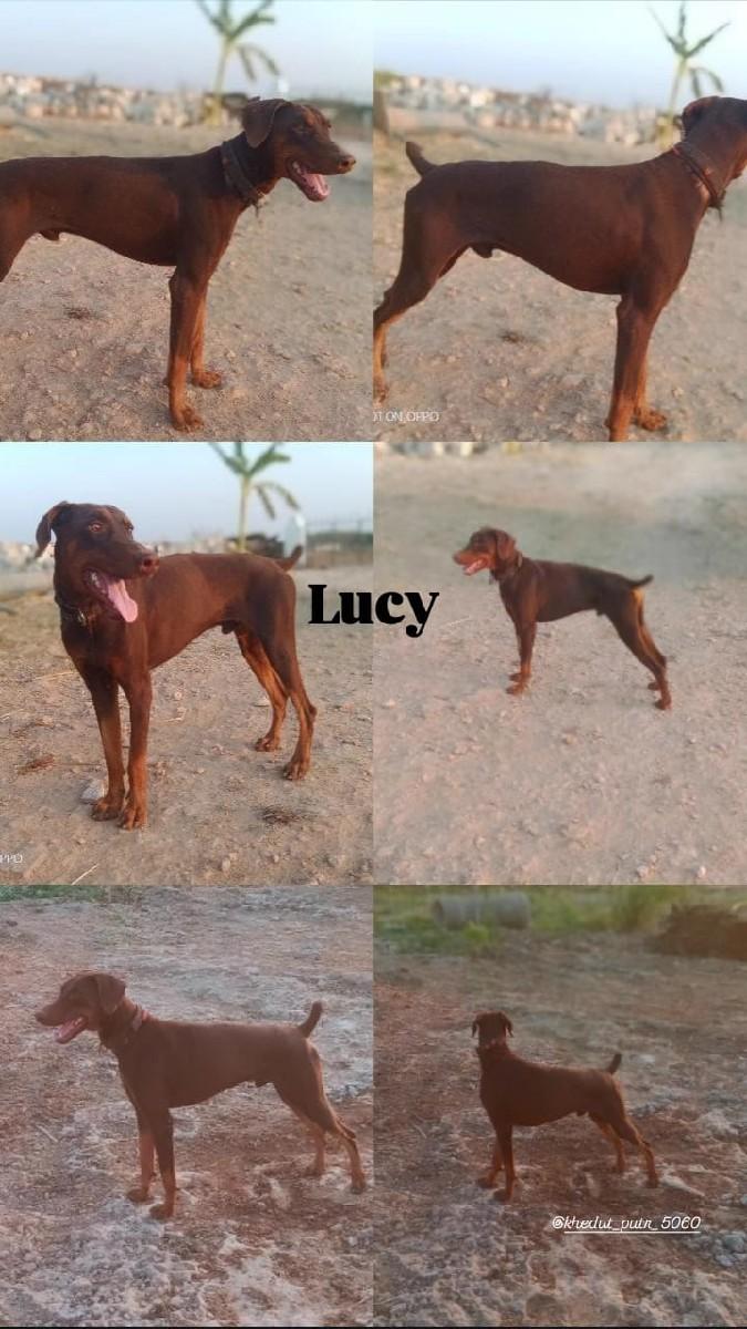 थंबनेल 3