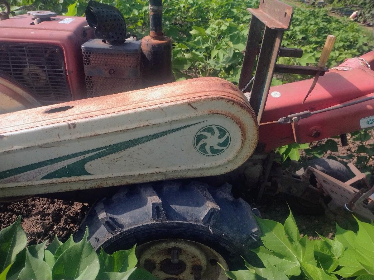 થંબનેલ 2