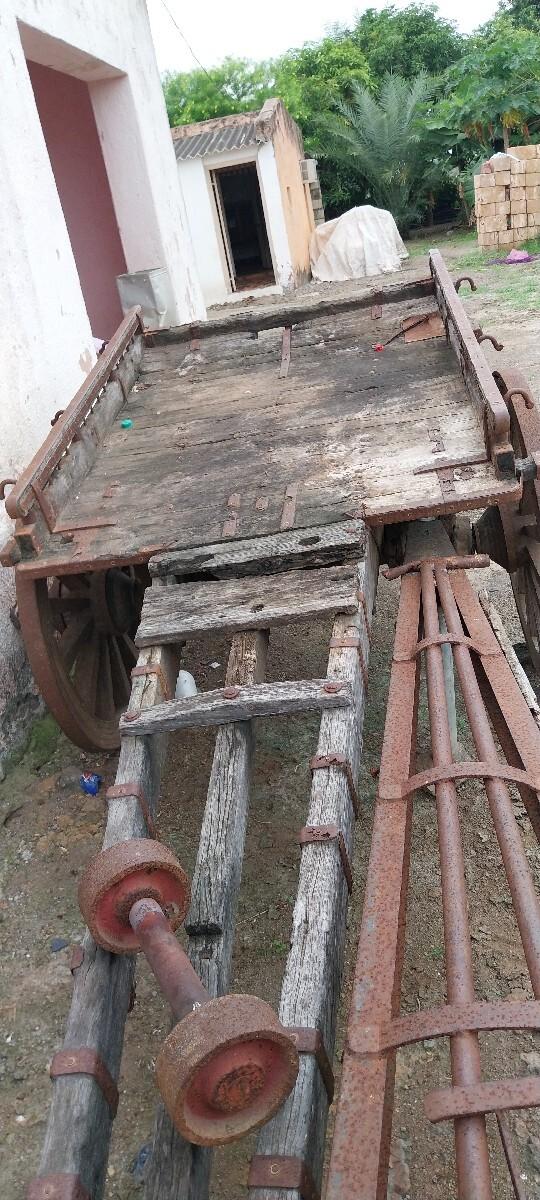 થંબનેલ 2