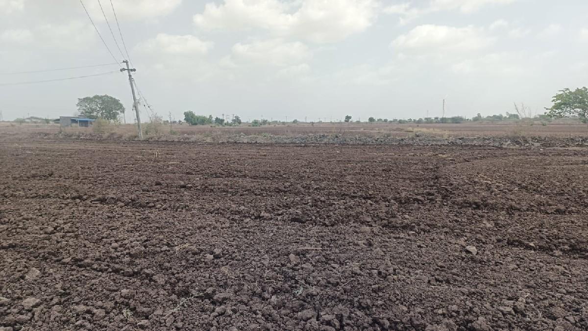 13 વિઘા જમીન વેચવાની છે.