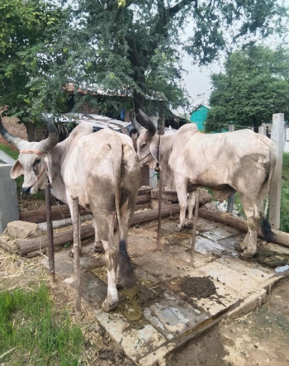 વેચવાના છે