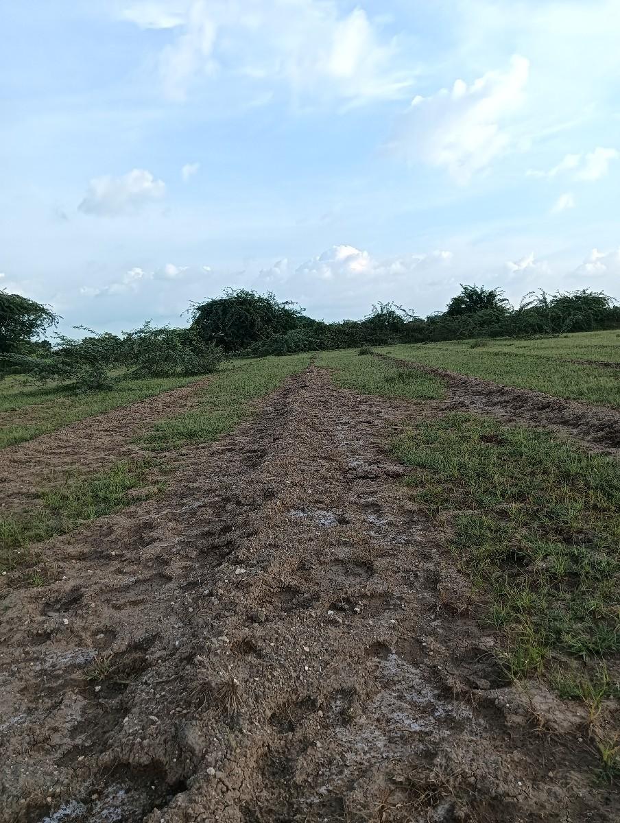 3 એકર જમીન વેચાણ આપવાની છે