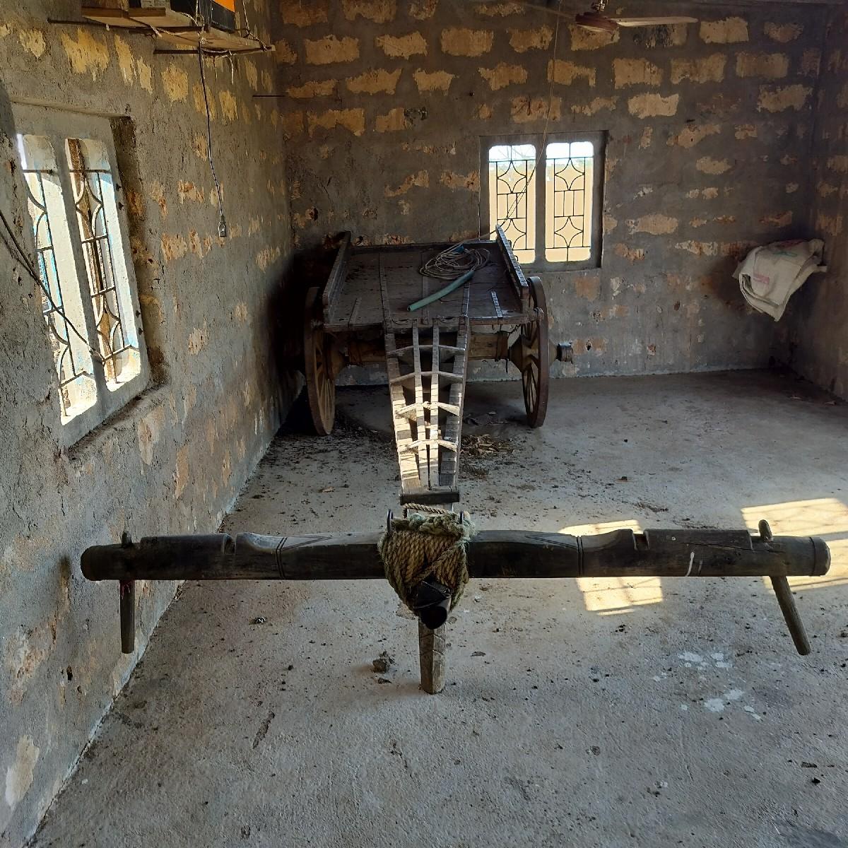 થંબનેલ 3