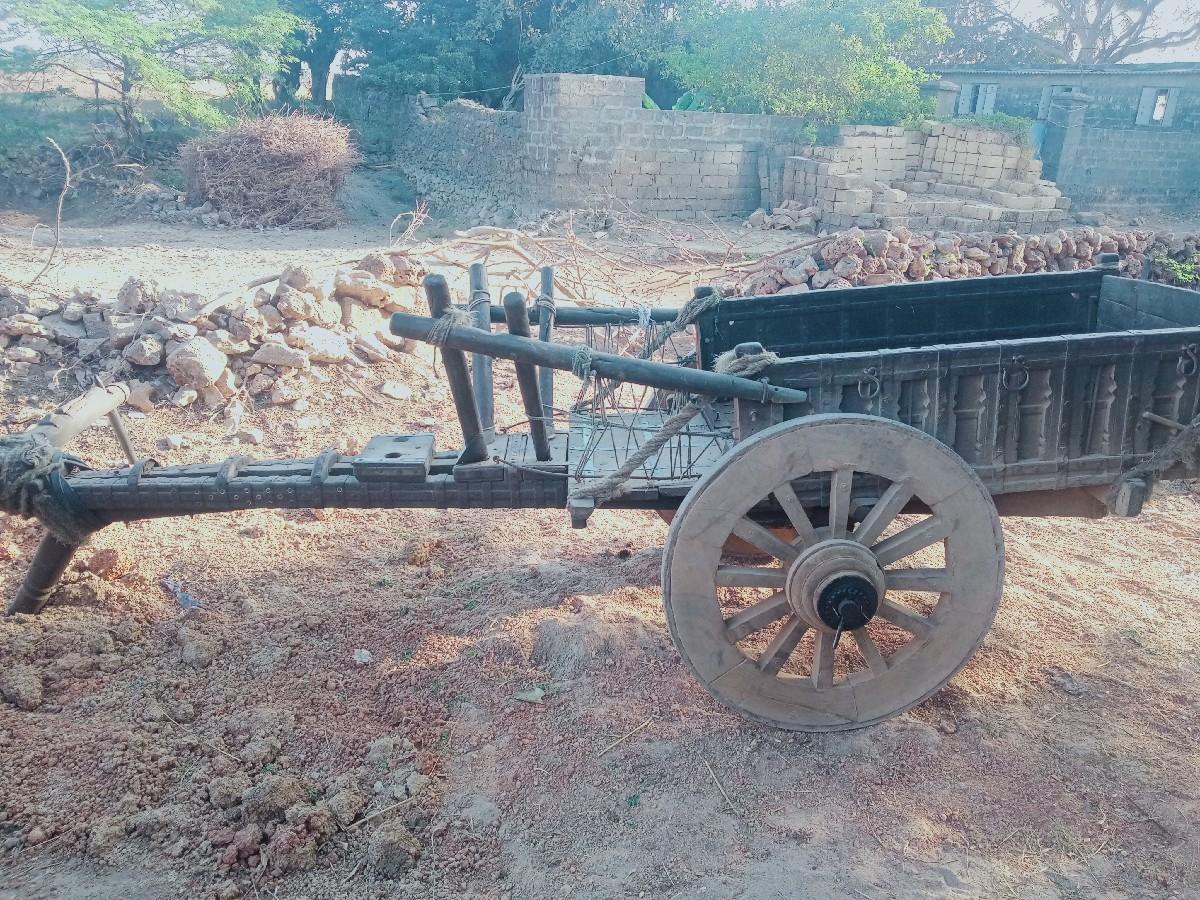 થંબનેલ 2