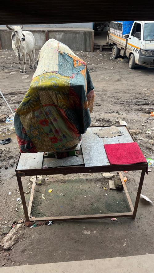 શિશૂળો વેસવાનો છે