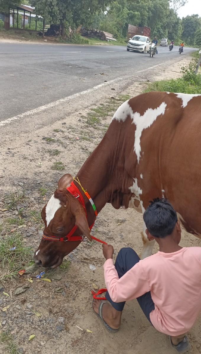 थंबनेल 3