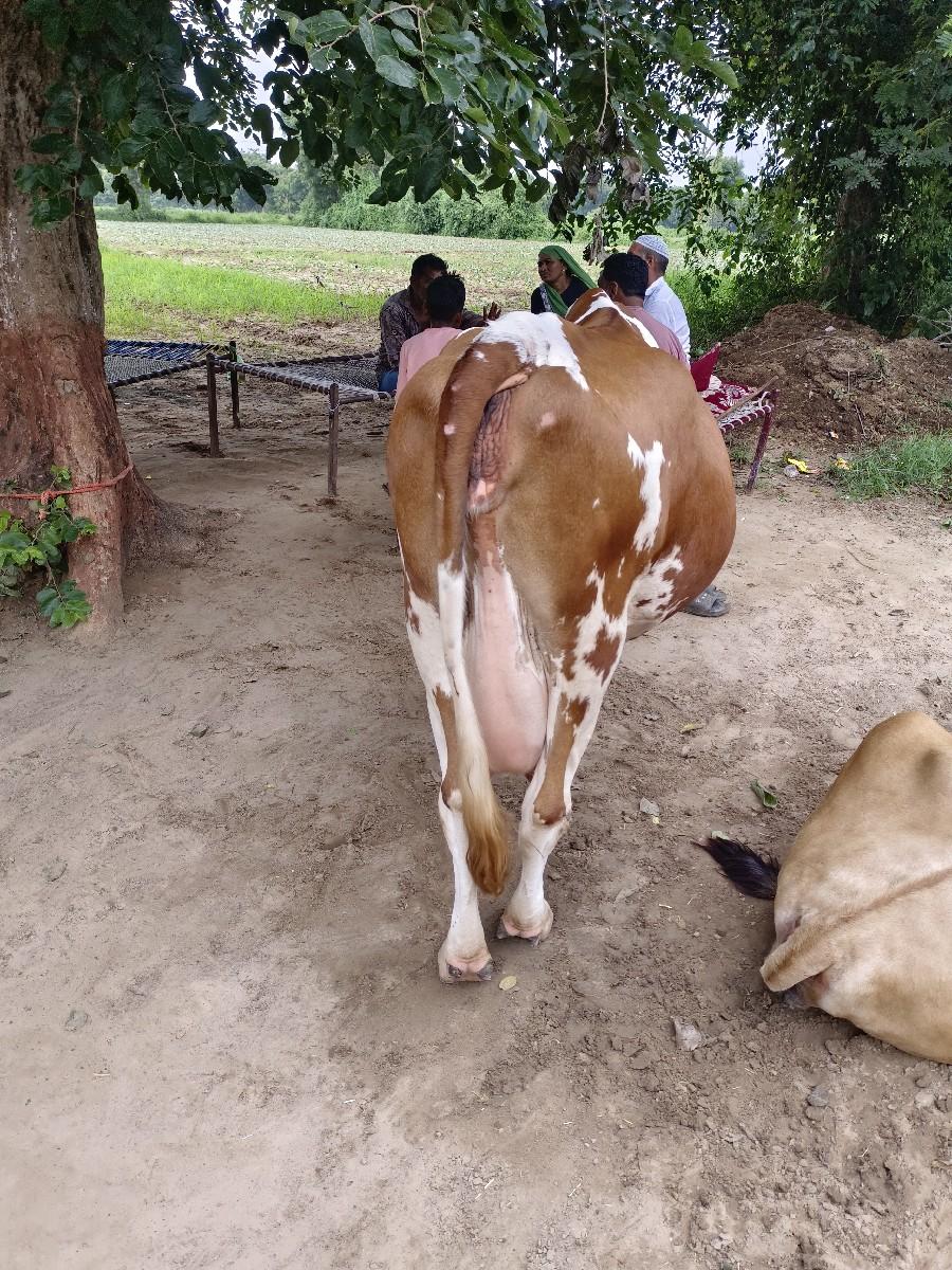 थंबनेल 2