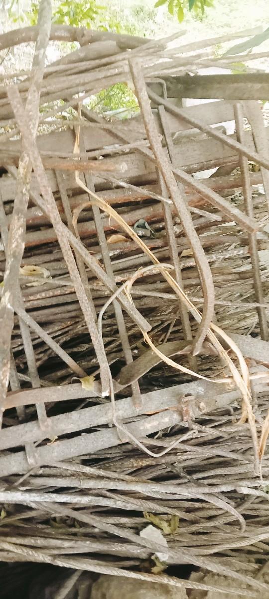 સેન્ટીંગના હરિયા કટીંગ કરેલ