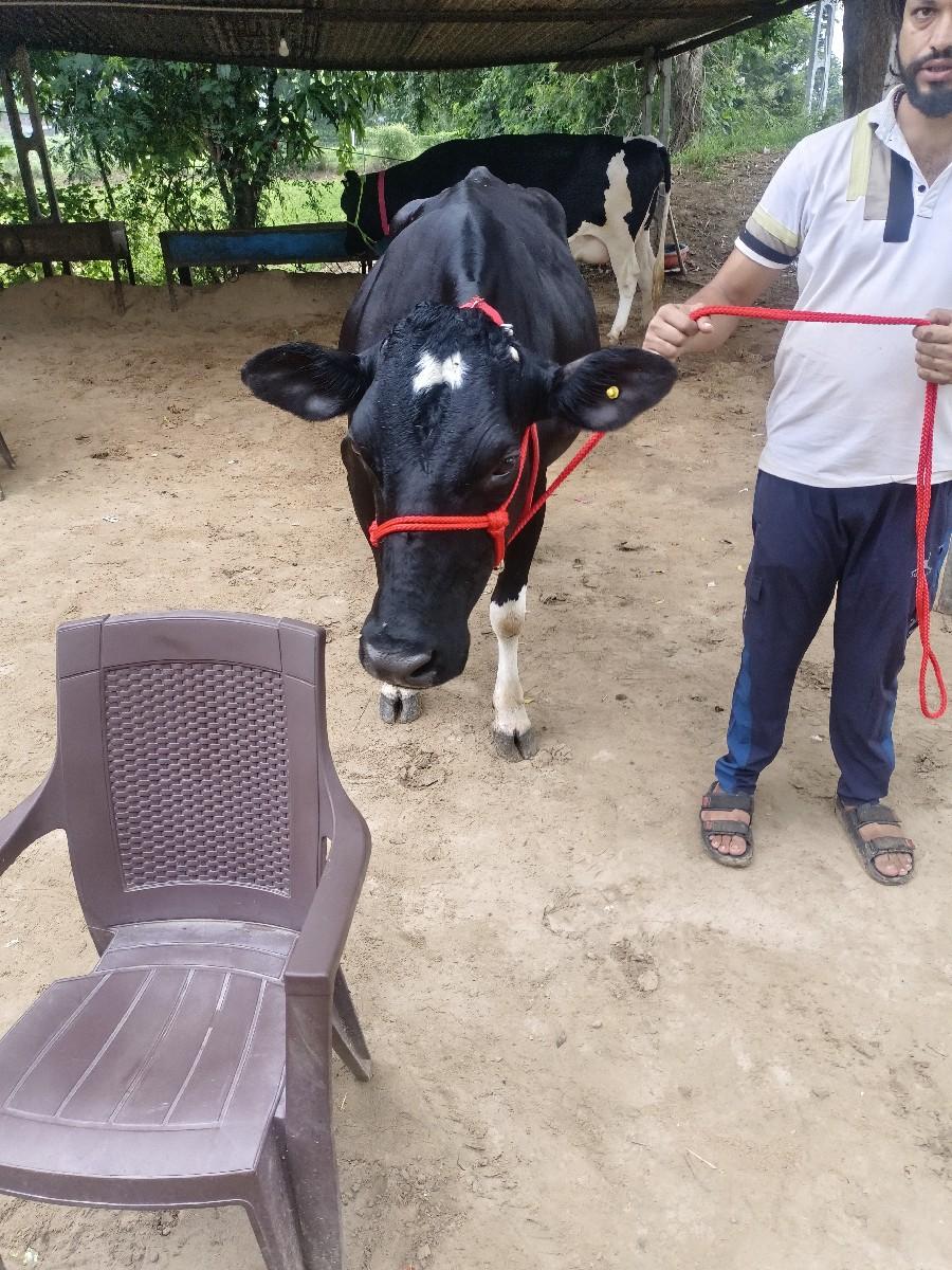 थंबनेल 3