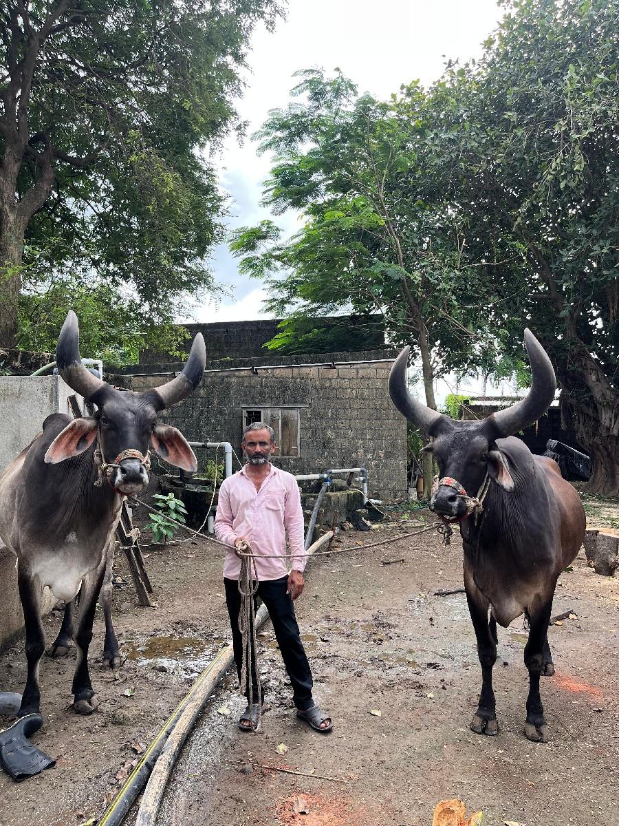 थंबनेल 3