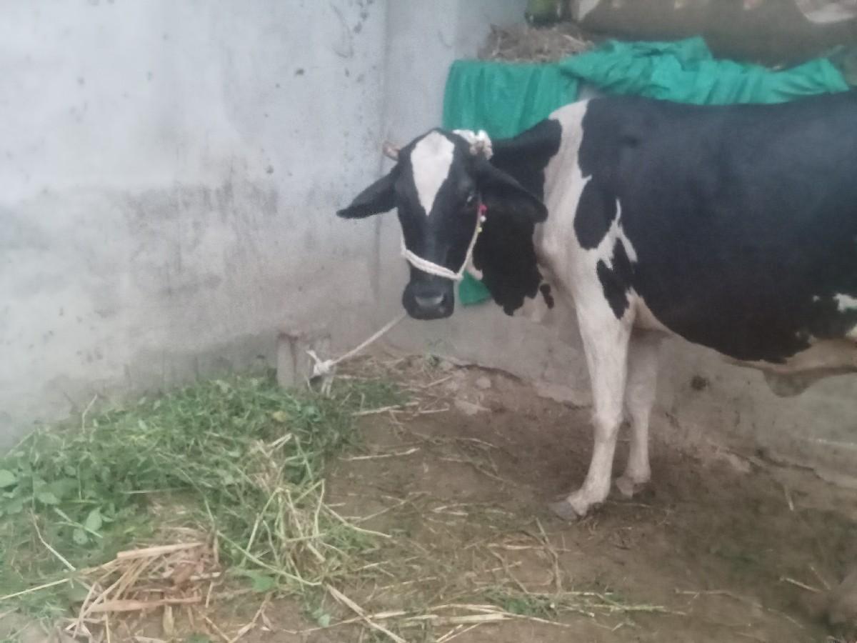 थंबनेल 2