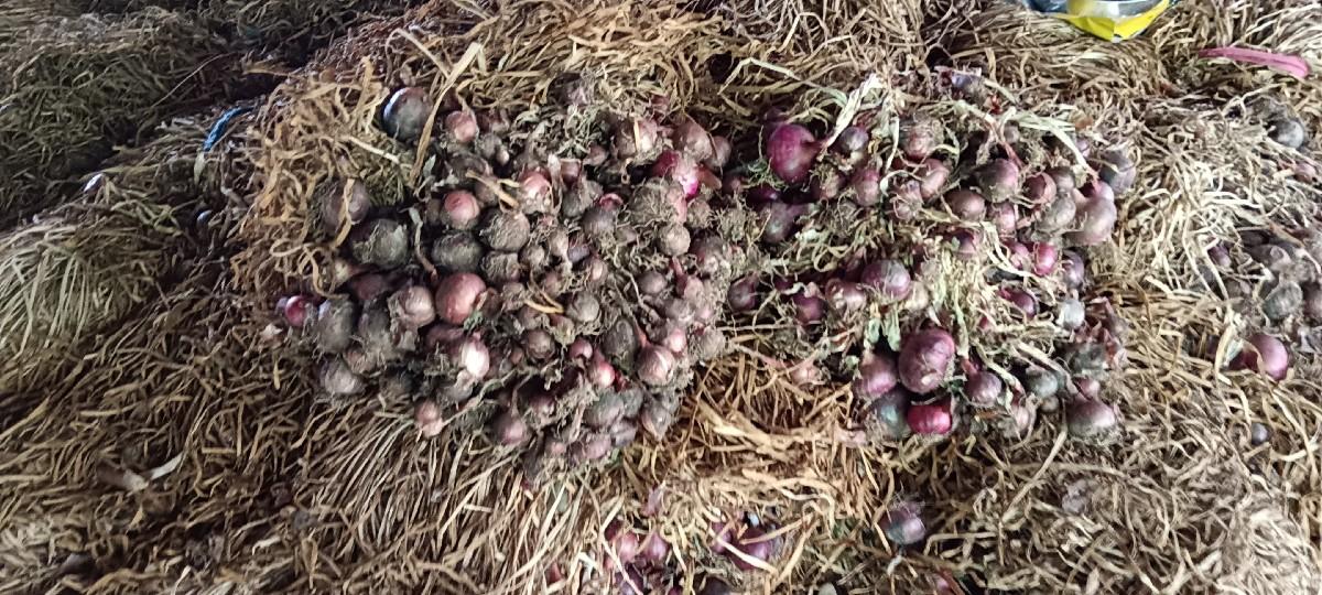 કાંજી. વેચવાની.છે