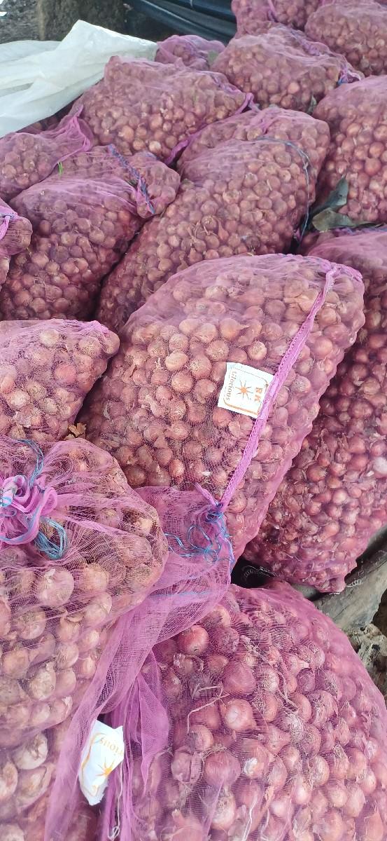 ડુંગળી વેચવાની છે