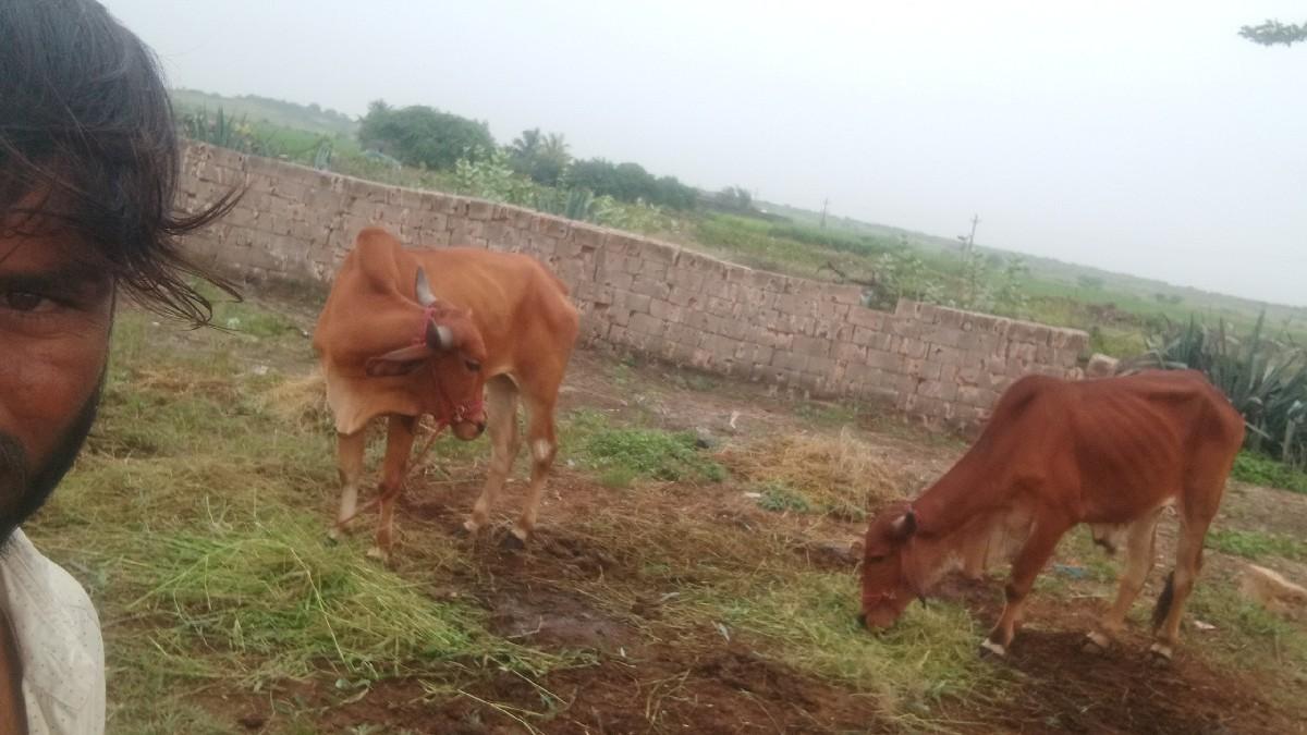 થંબનેલ 3