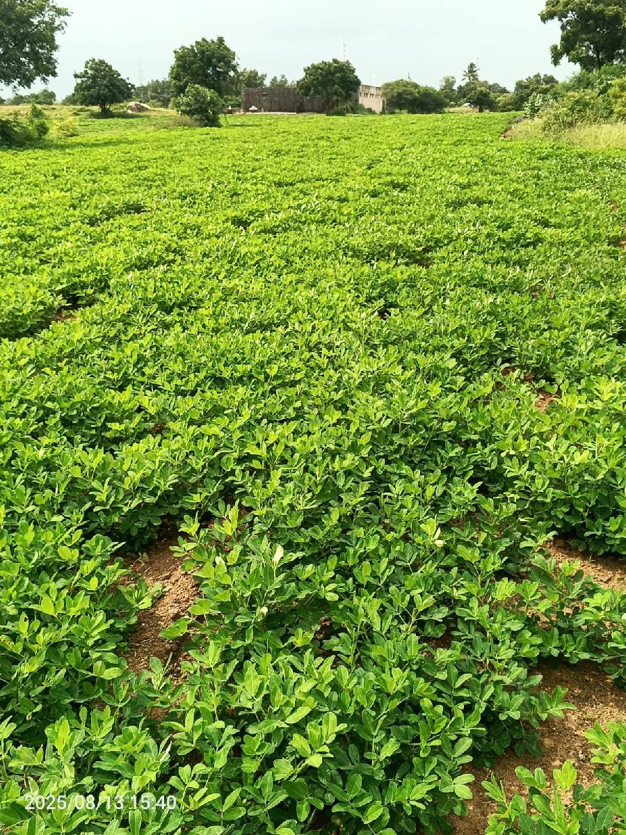 મજુર ની જરૂર સે