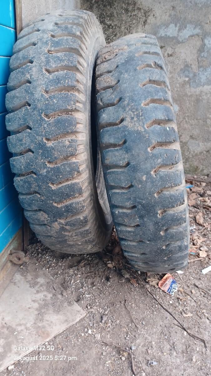 tolina tayr vechavanase