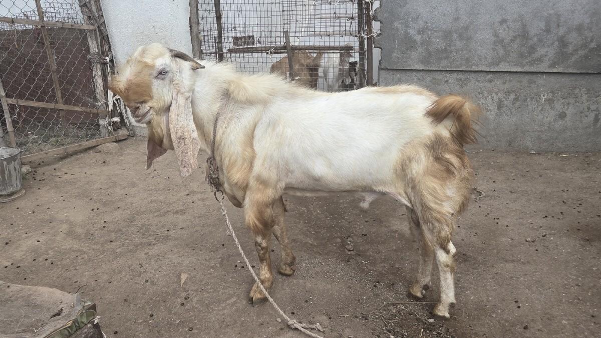 થંબનેલ 2