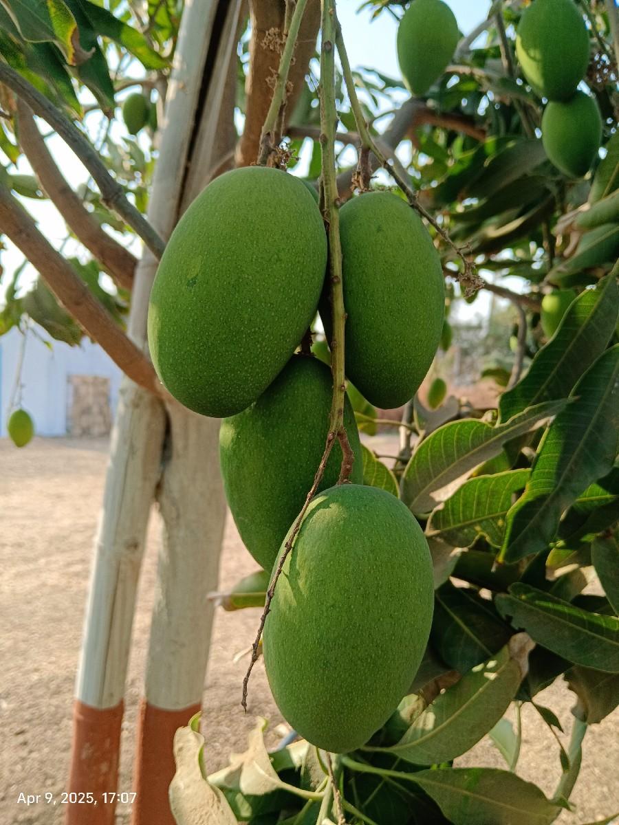 थंबनेल 3