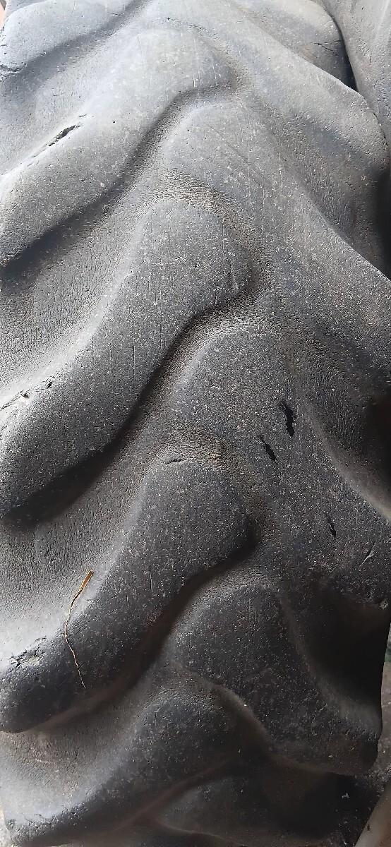 થંબનેલ 2