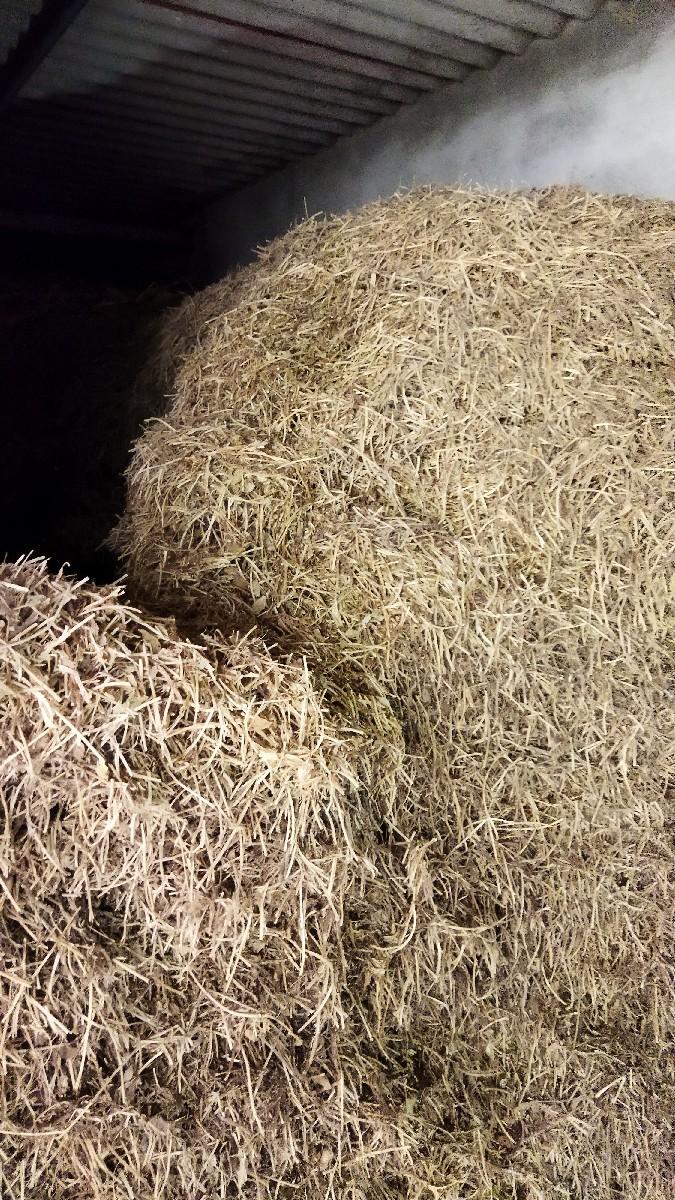 જી 20 માંડવીનો ભૂકો વેચવાનો છે