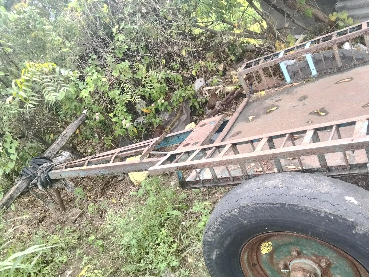 થંબનેલ 2