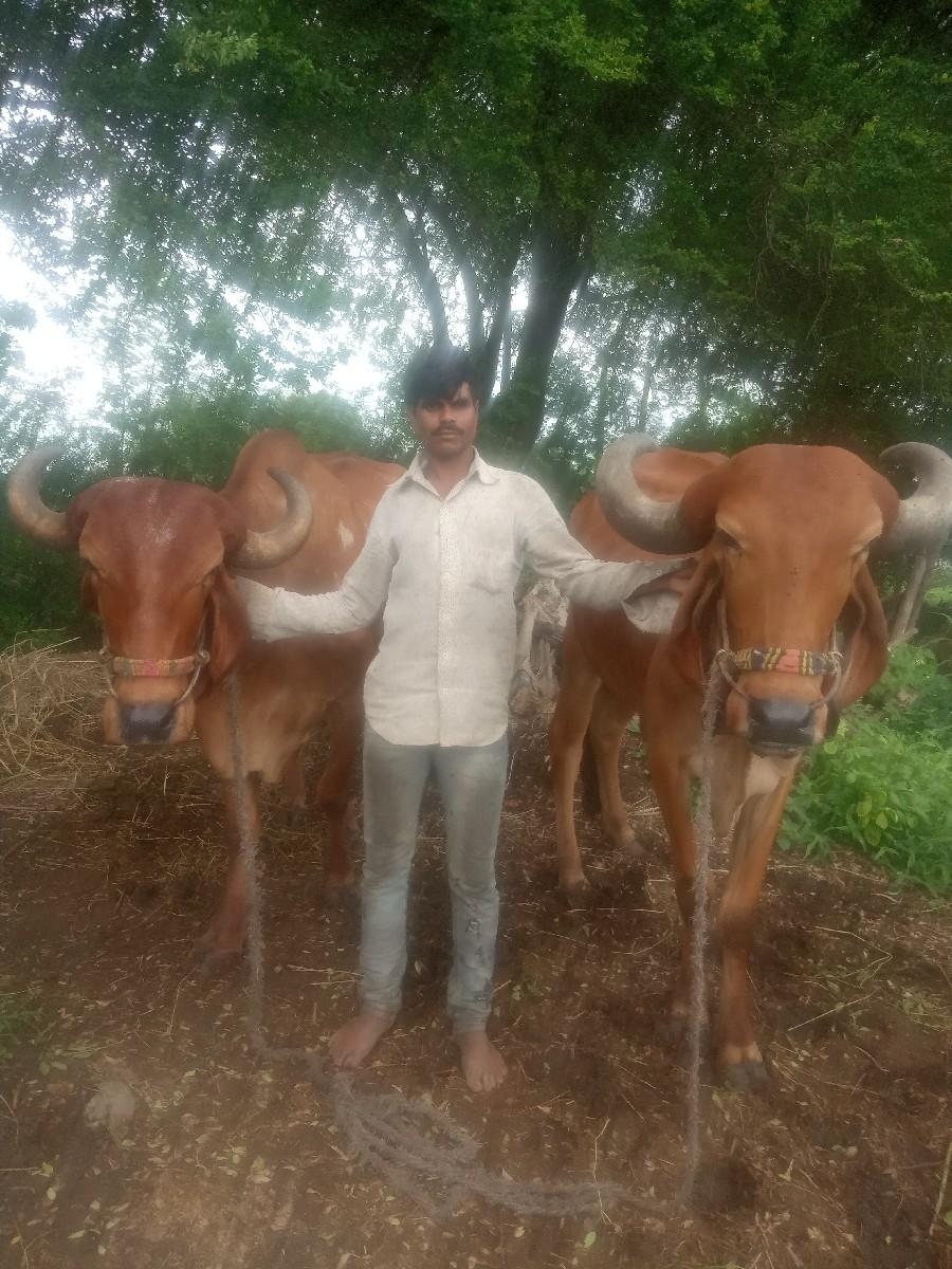 थंबनेल 2