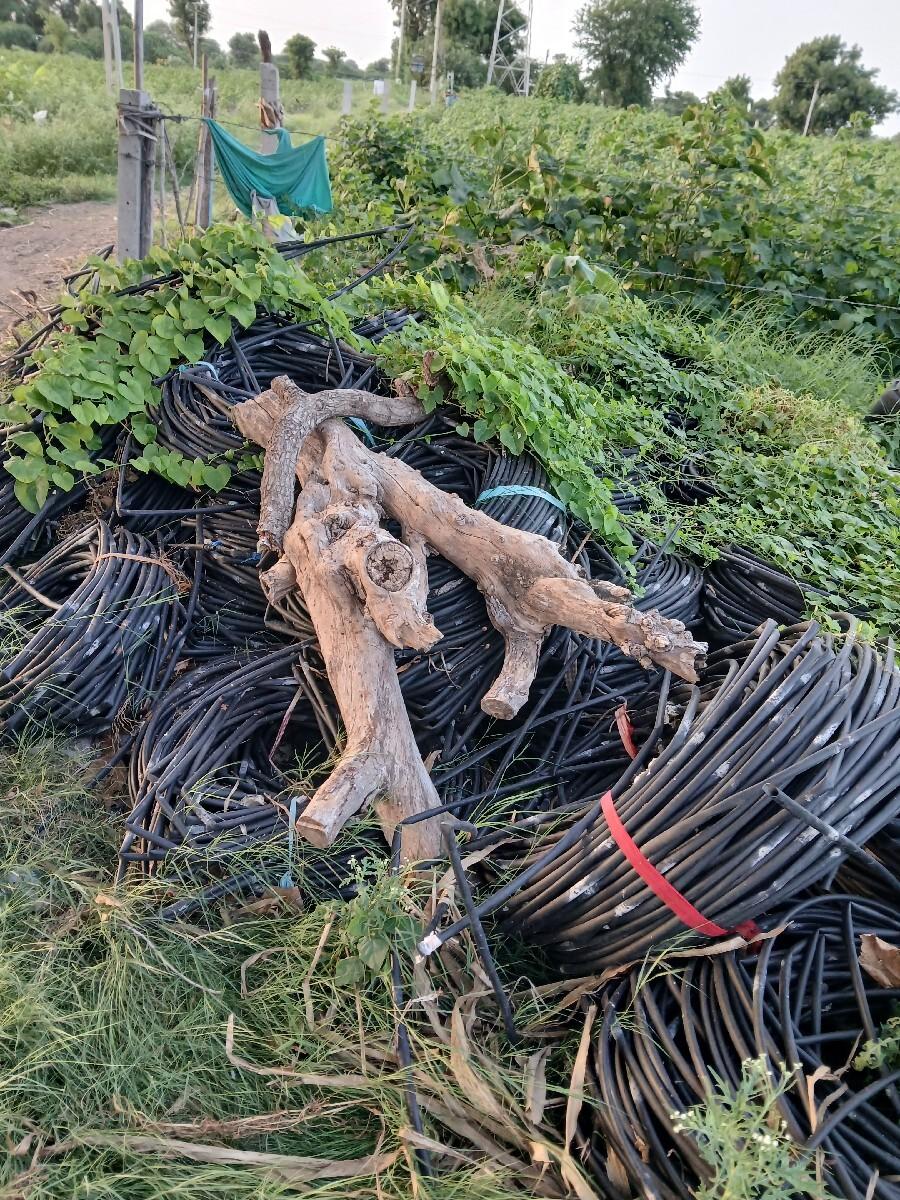 ડીપ વેચવા ની છે