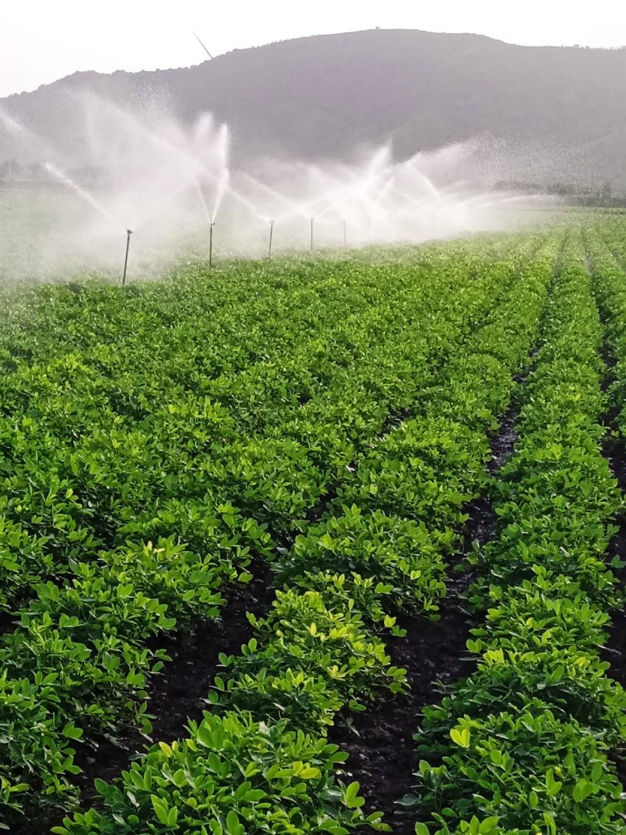 જમીન વેચવા ની છે