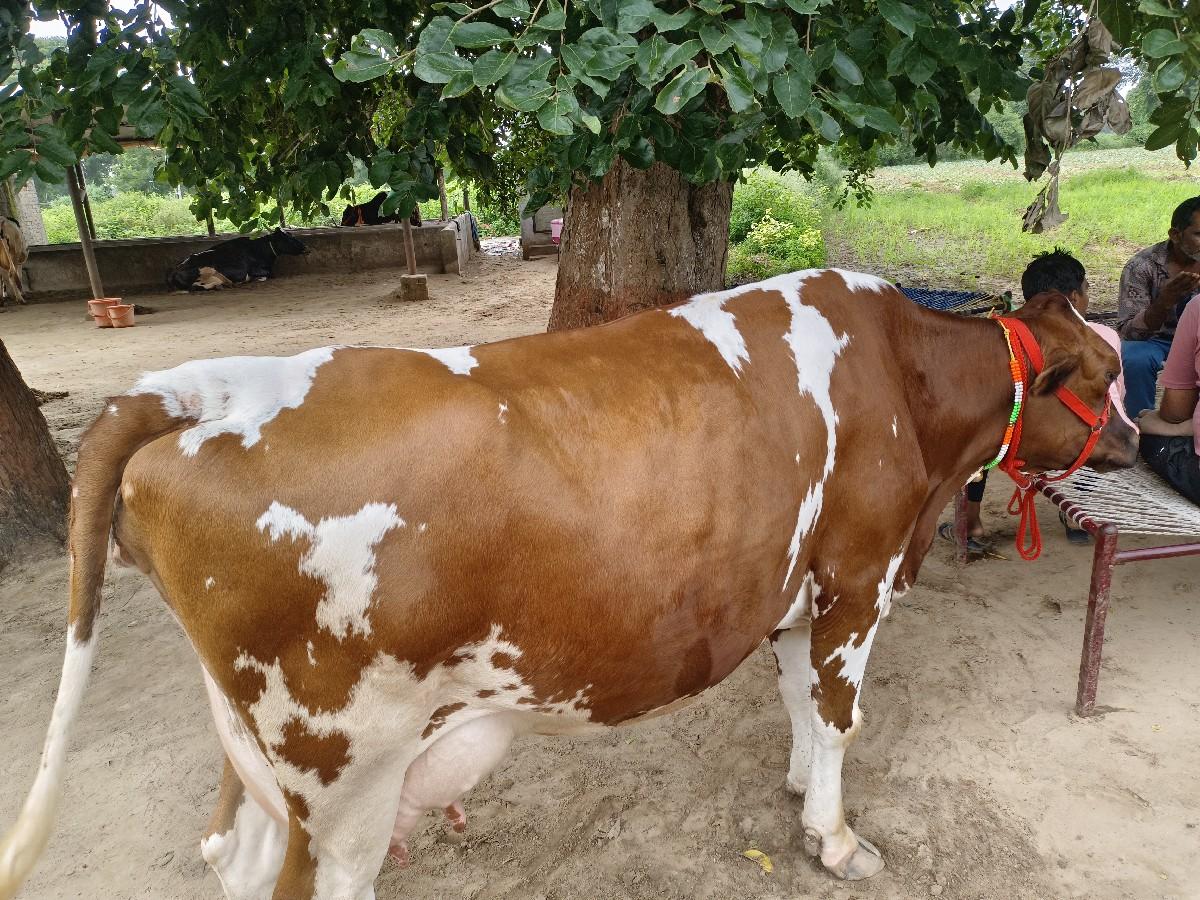 બીજું વેધર