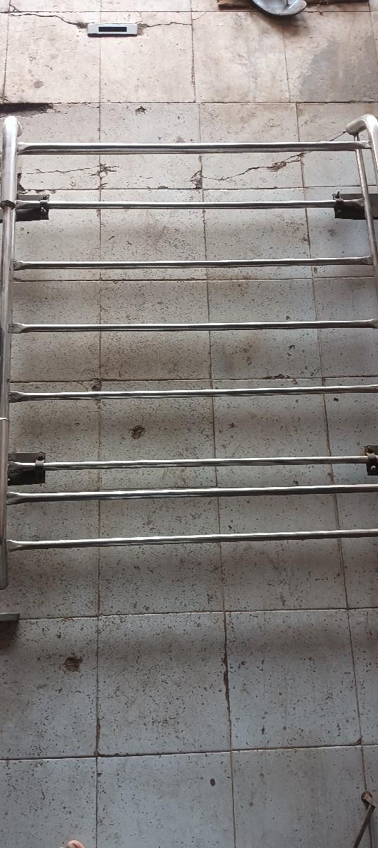 ઇકોનું કેરિયર