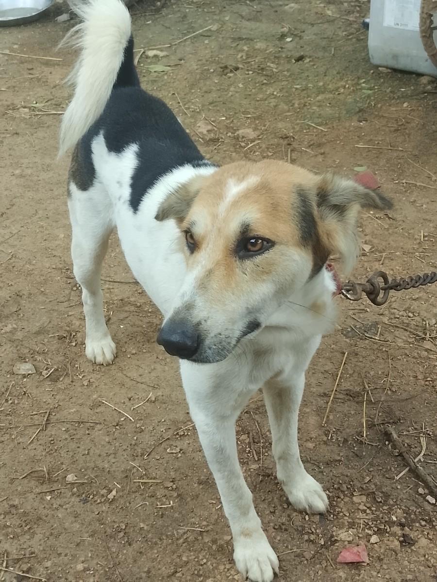 थंबनेल 3